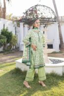 REGALIA LAWN 3PC ORIGNAL SUMMER COLLECTION 2025